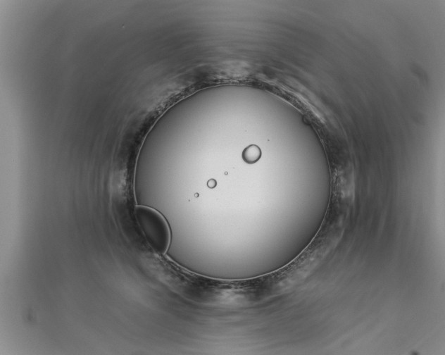 X0000112870564200908281627