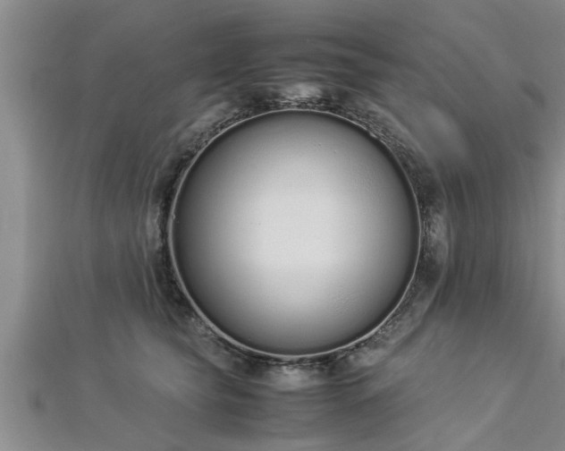 X0000112870565200908281627