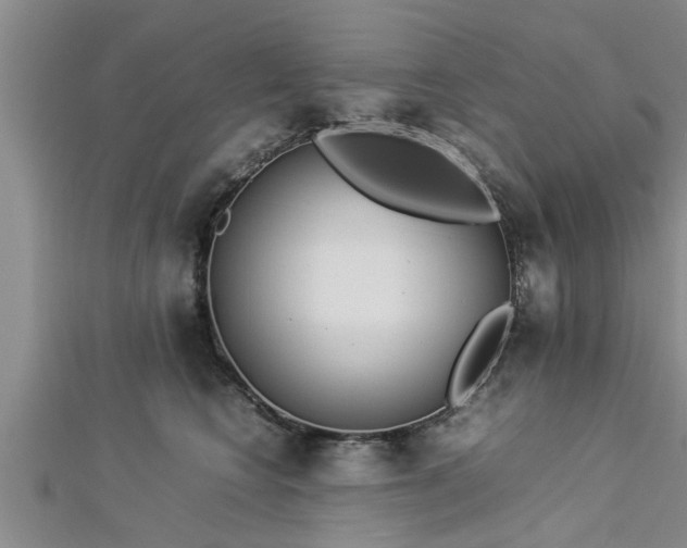 X0000112870566200908281627