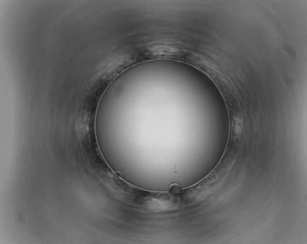 X0000112870567200908281627