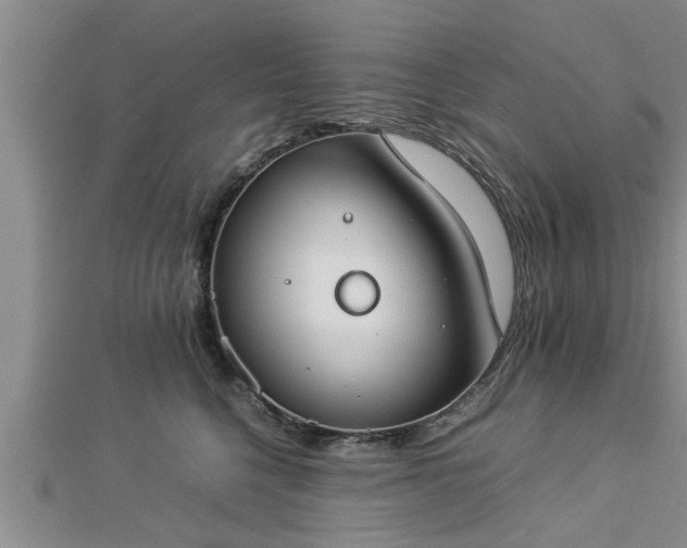 X0000112870568200908281627