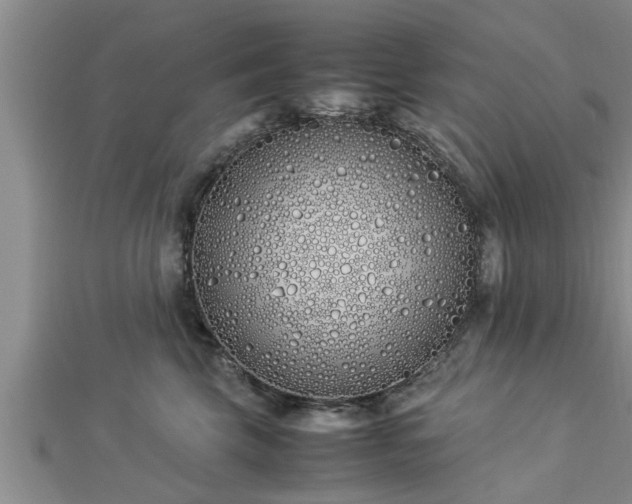 X0000112870569200908281627