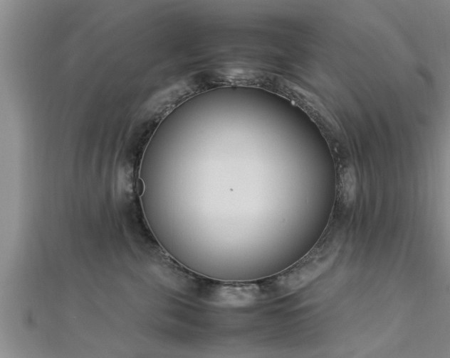 X0000112870571200908281627