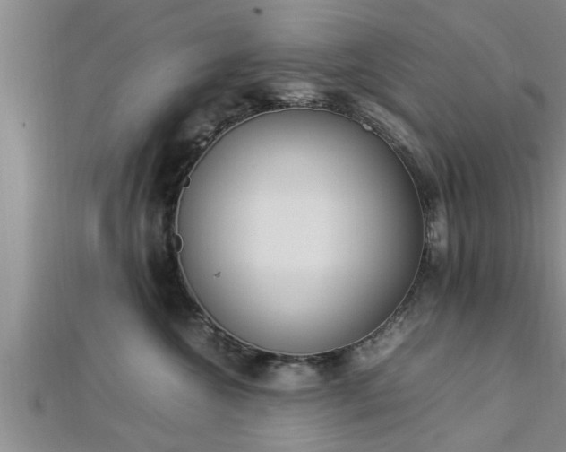 X0000112870572200908281627