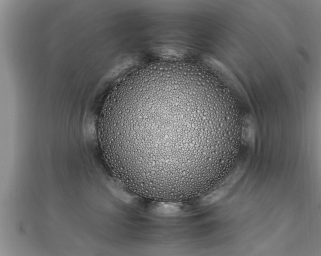 X0000112870573200908281627