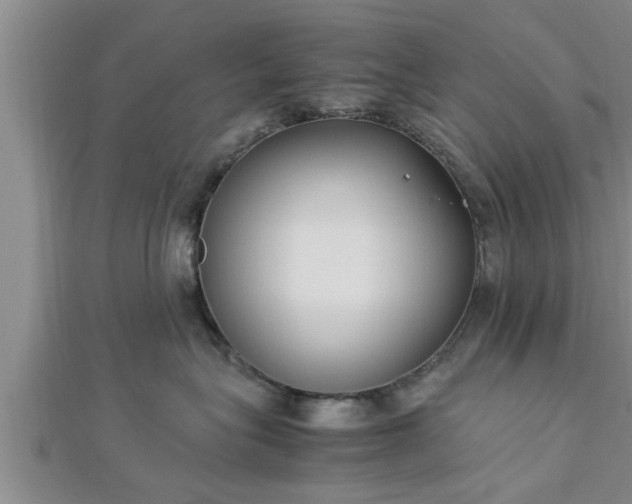 X0000112870575200908281627