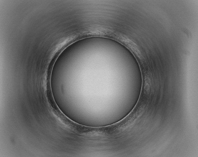 X0000112870578200908281627