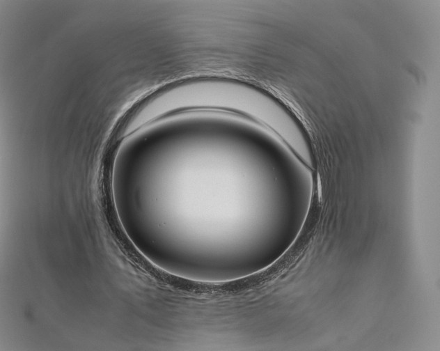 X0000112870579200908281626