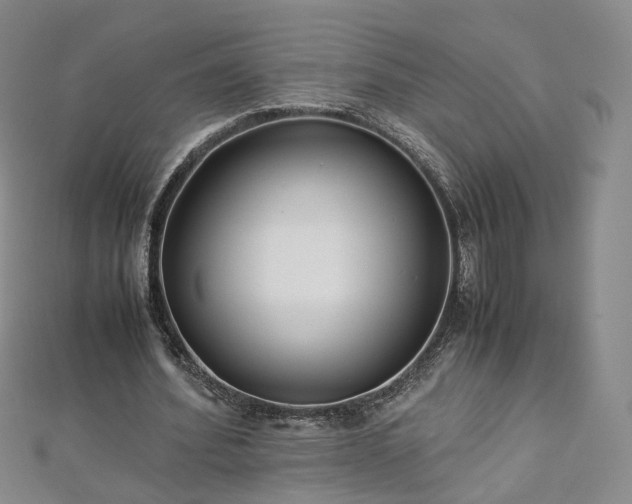 X0000112870580200908281626