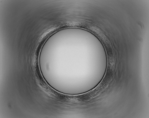 X0000112870583200908281626