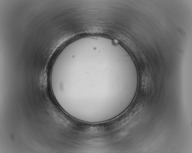 X0000112870584200908281626