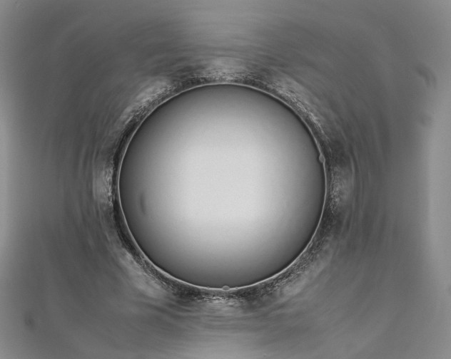 X0000112870585200908281626