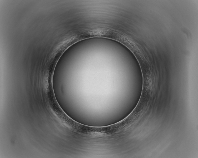 X0000112870586200908281626