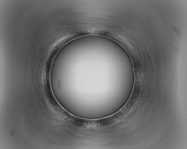 X0000112870587200908281626