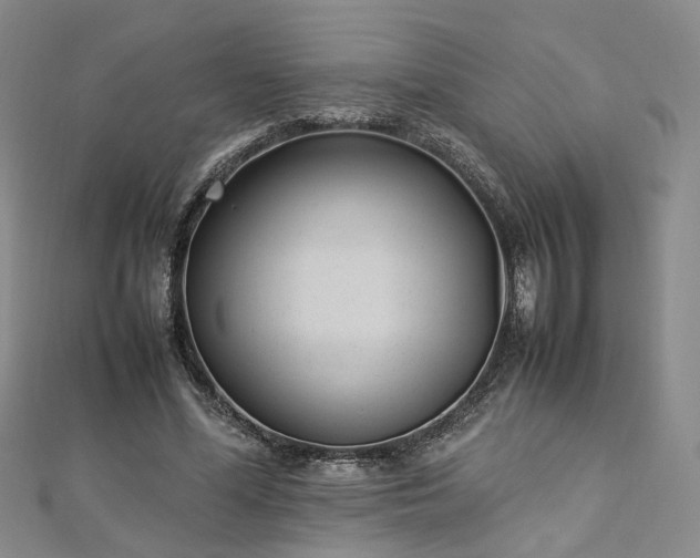 X0000112870588200908281626