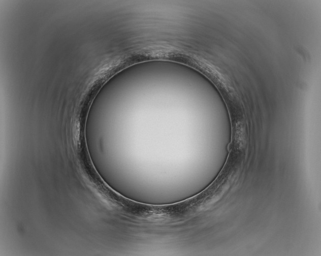 X0000112870589200908281626