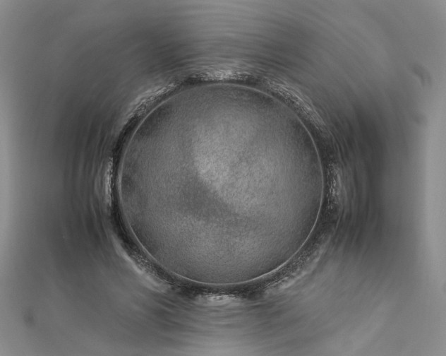 X0000112870590200908281626