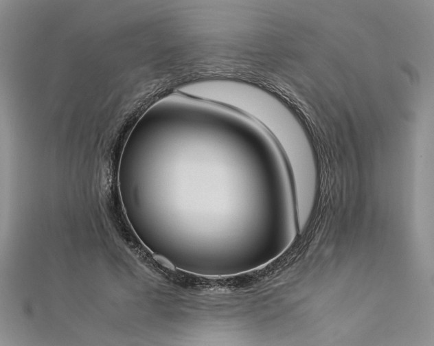 X0000112870593200908281626