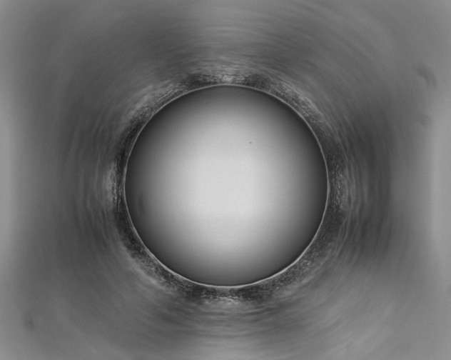 X0000112870594200908281626