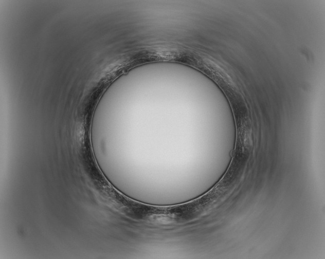 X0000112870595200908281626