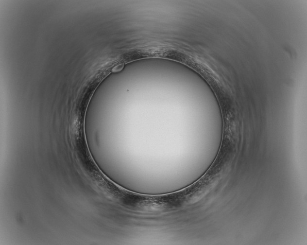 X0000112870597200908281626