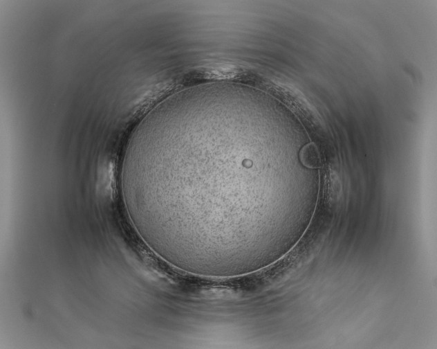 X0000112870598200908281626