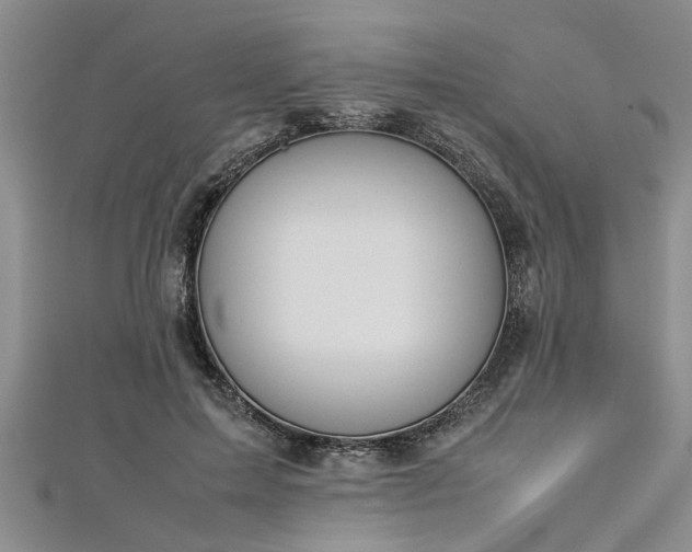 X0000112870599200908281626