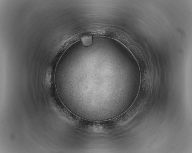 X0000112870600200908281626