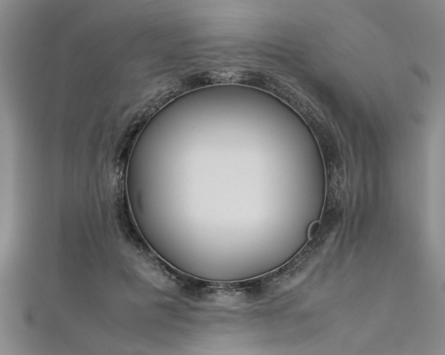 X0000112870601200908281626