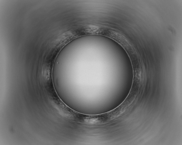 X0000112870602200908281626