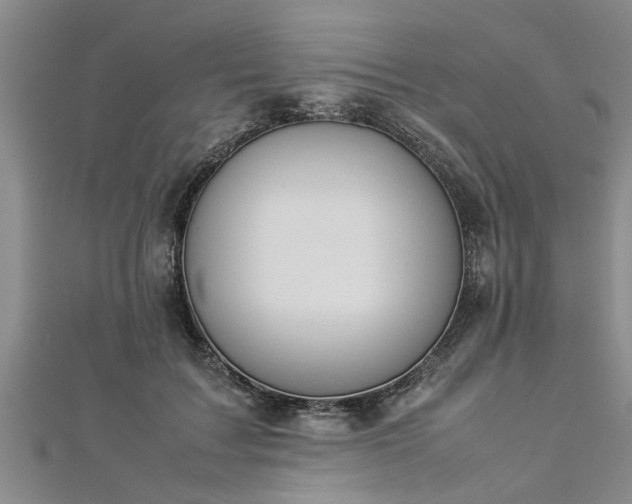 X0000112870603200908281626