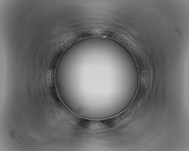 X0000112870605200908281626