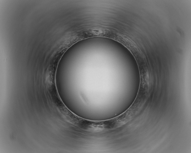 X0000112870606200908281626