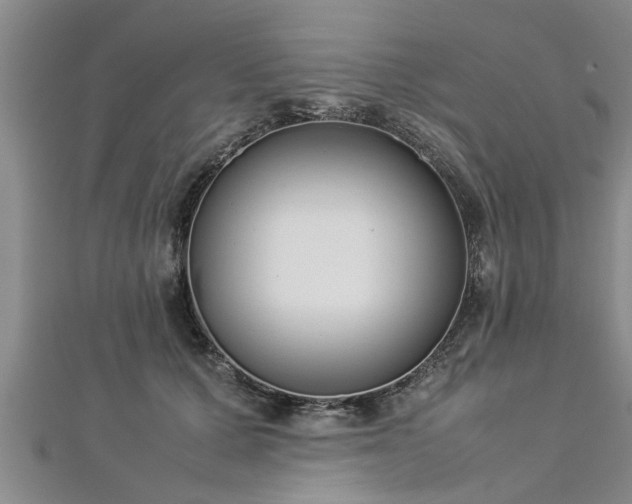 X0000112870607200908281626