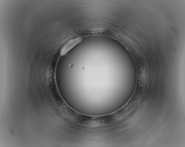 X0000112870608200908281626