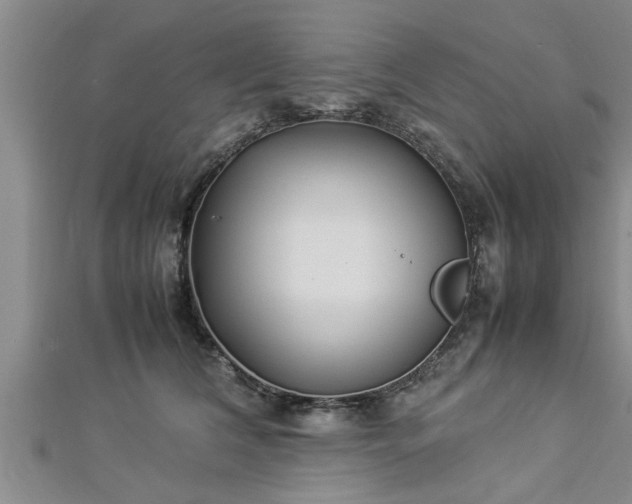 X0000112870612200908281626