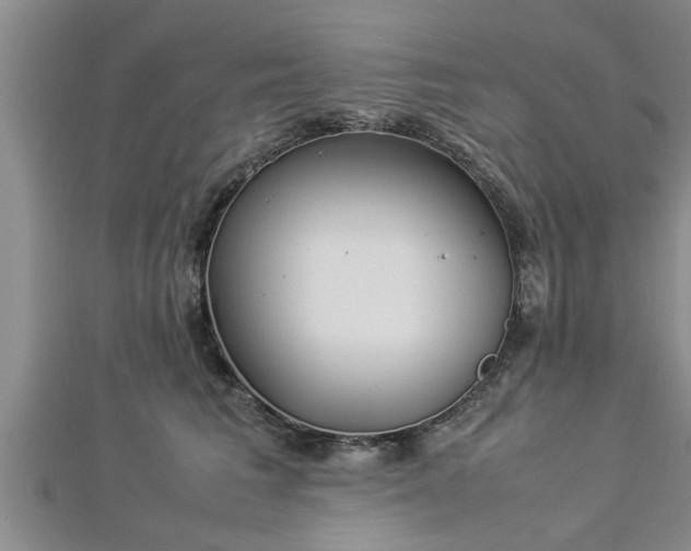 X0000112870613200908281626