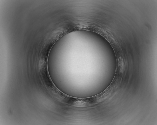 X0000112870614200908281626