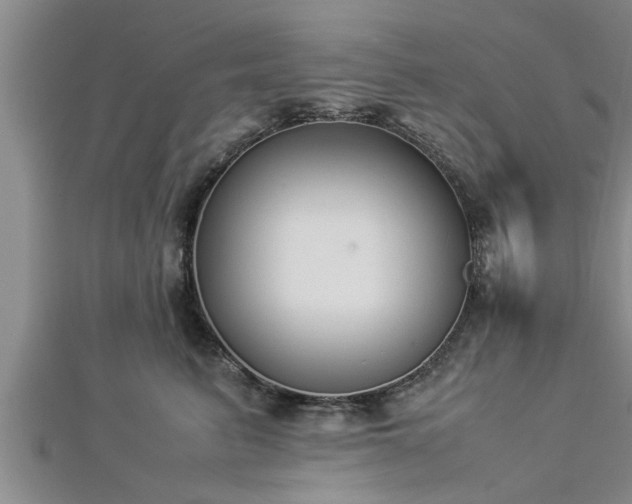 X0000112870615200908281626