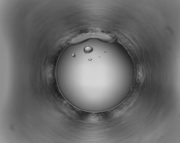 X0000112870616200908281626