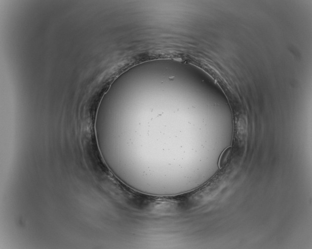 X0000112870617200908281626