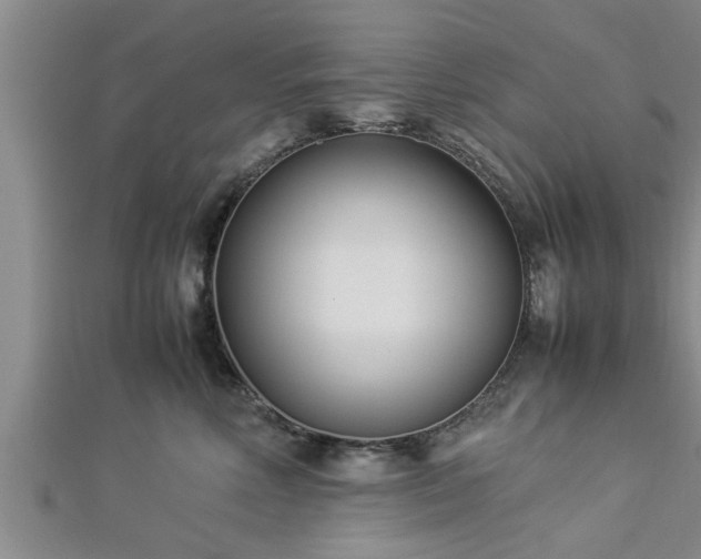 X0000112870618200908281626