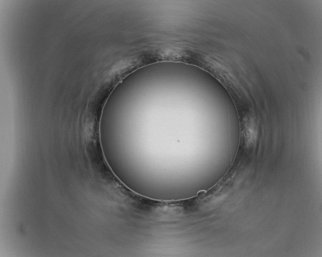 X0000112870619200908281626