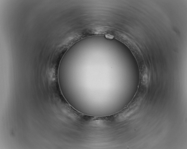 X0000112870620200908281626