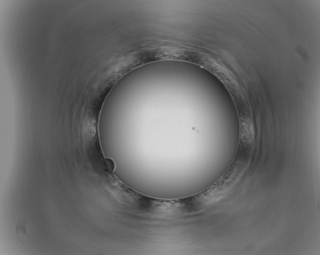 X0000112870621200908281626