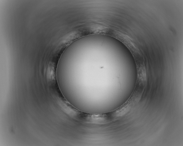 X0000112870622200908281626