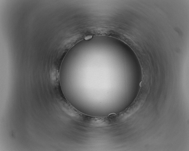 X0000112870624200908281626