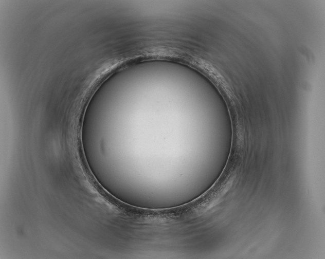 X0000112870625200908281625