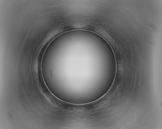 X0000112870626200908281625