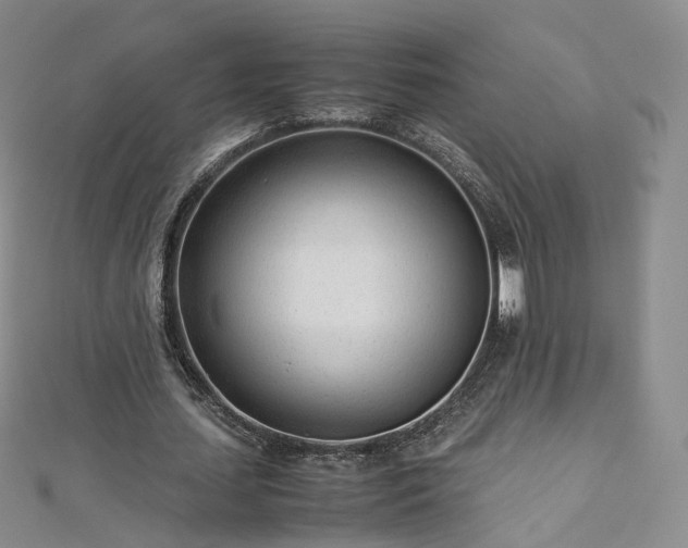 X0000112870627200908281625